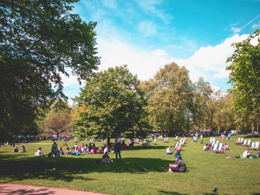 Picnic, muzică și poezie în Grădina Botanică @ Weekend Sessions ...